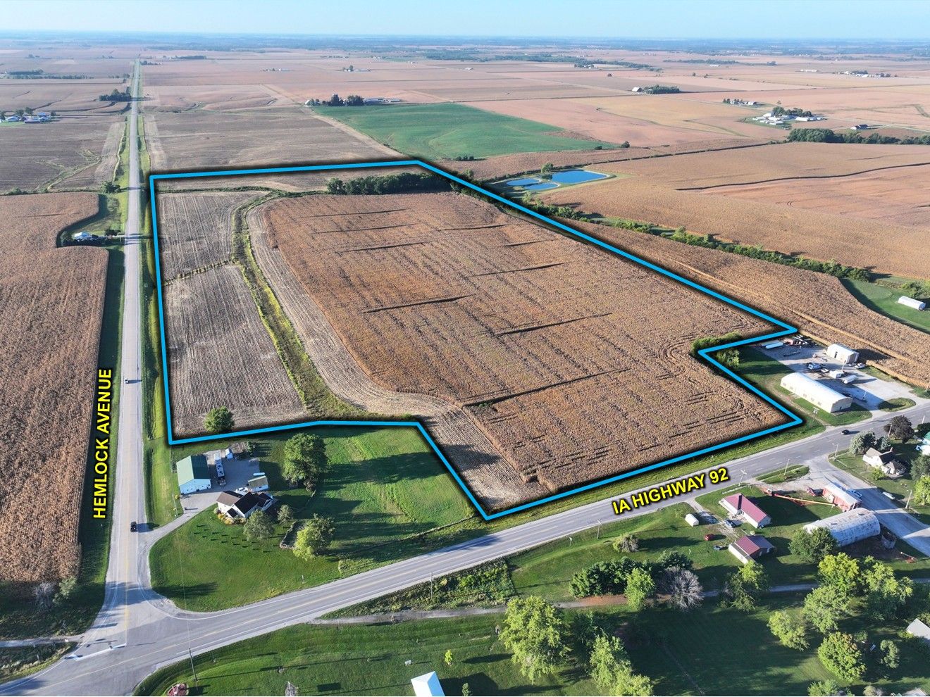 Listing Photo: Washington County, IA Land Auction 1